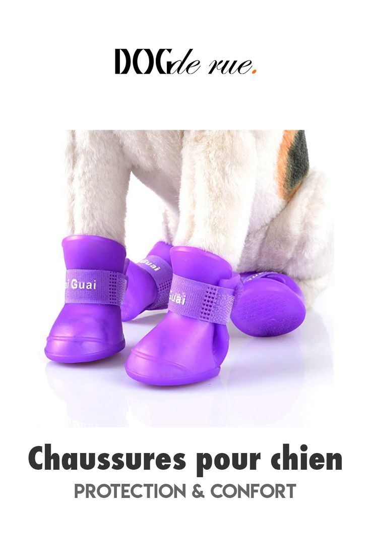 "SHOES FOR DOG"🐶Zapatos para lluvia  🌧️adecuado para tu perro⭐⭐⭐⭐⭐